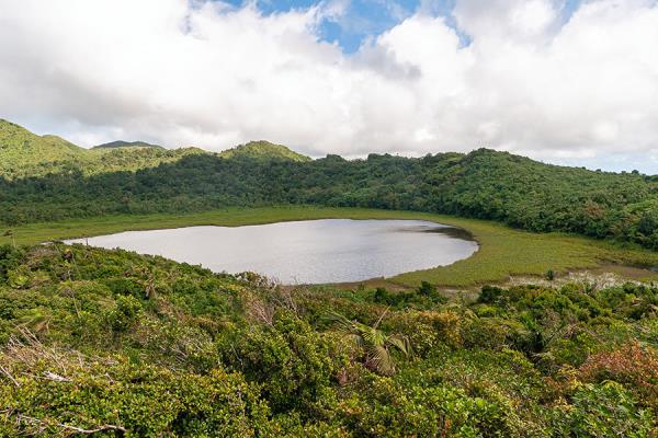 Grenada: the Grand Etang Natio<em></em>nal Park